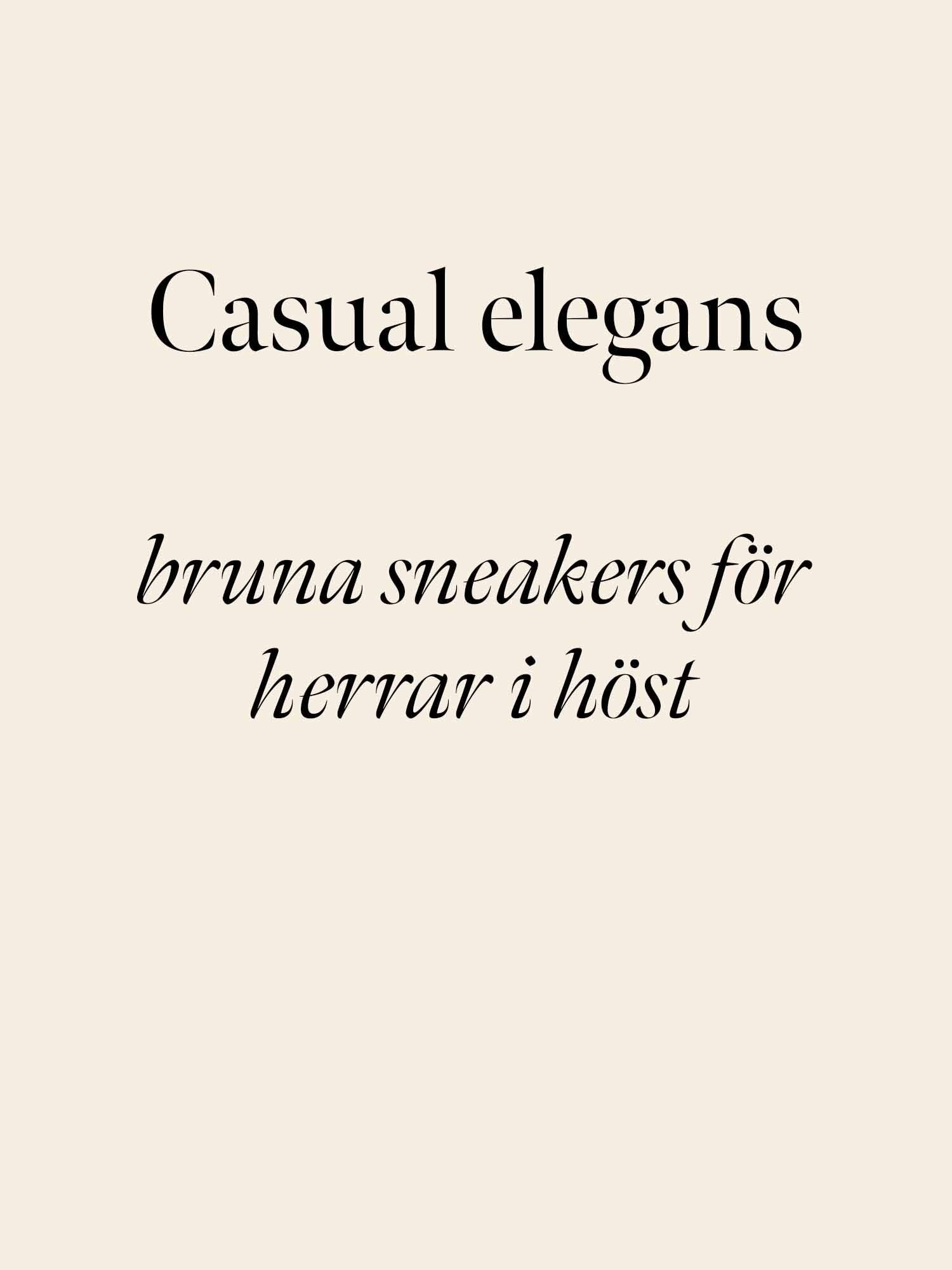 https://www.scorett.se/pub_docs/files/scorett_hero-ex_herr_aw25_bruna-sneakers.jpg