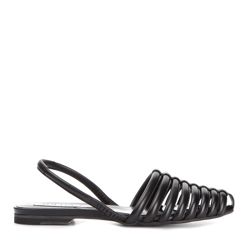 Product Image for Isabella Ballerina