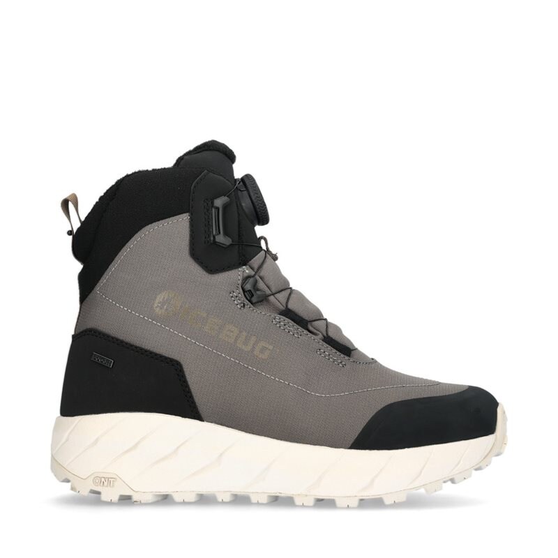 Product Image for Alne NT W Kängor