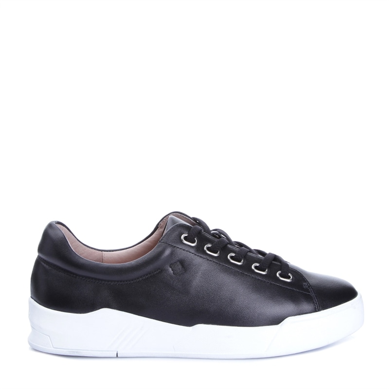 Violet Sneakers Violet Sneakers