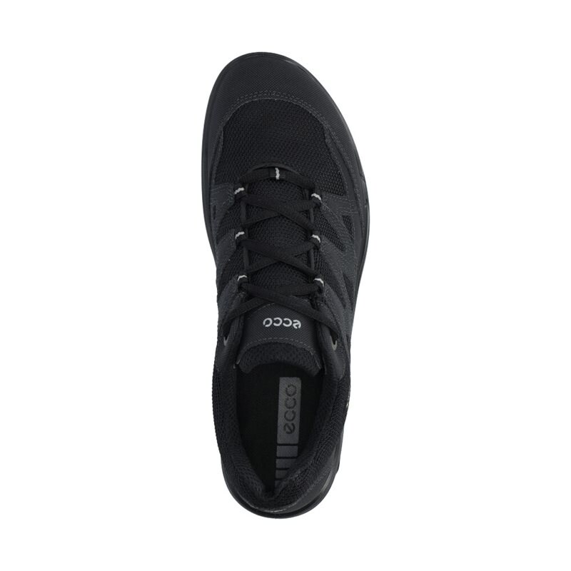 Product Image for Terracruise Sneakers GTX W