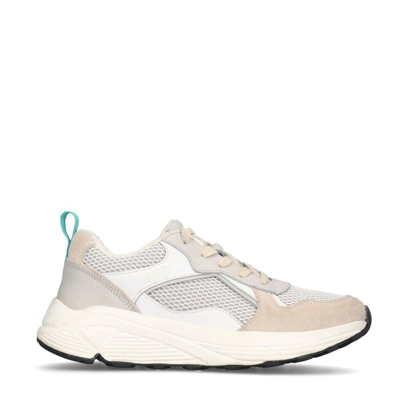 Product Image for Reuse Dasia Primrose