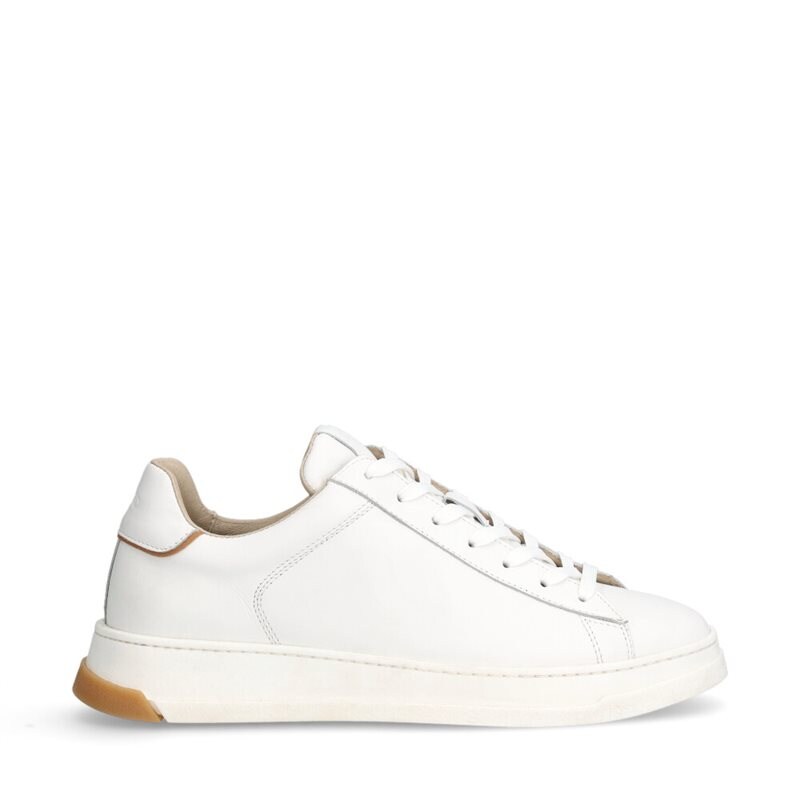 Arlo Sneakers Skinn