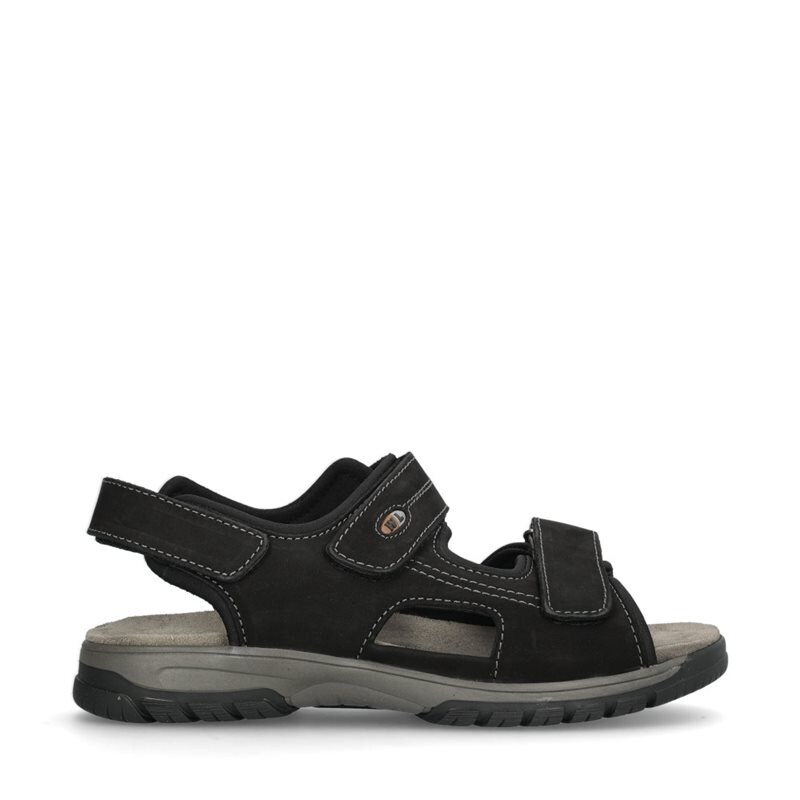 Product Image for Harald Sandaler