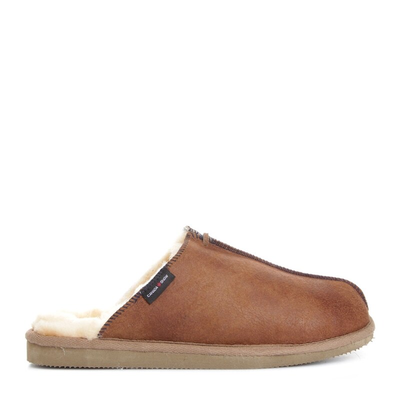 Product Image for Wrigley Tofflor