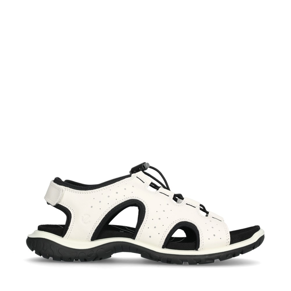 8353313-01007 Offroad Roam