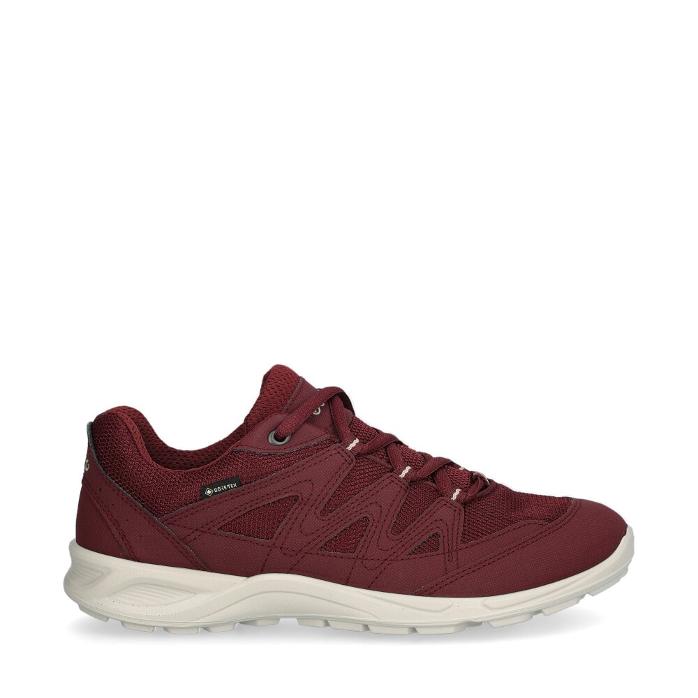 Terracruise Sneakers GTX W