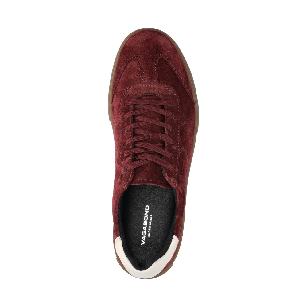 Cody Sneakers