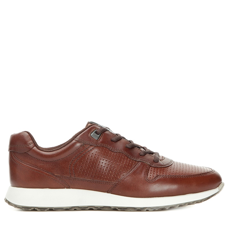 Ecco sneak trend online