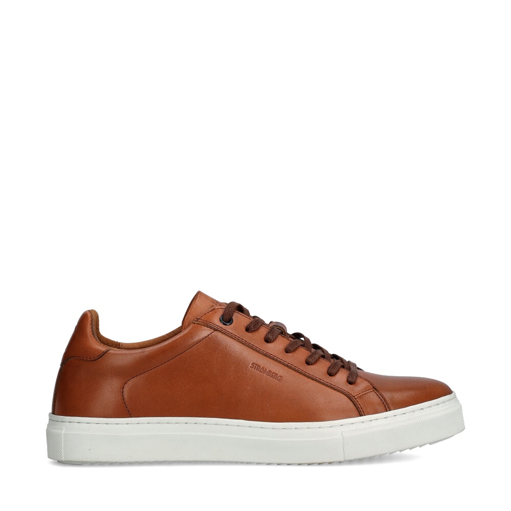 Arezzo Sneakers