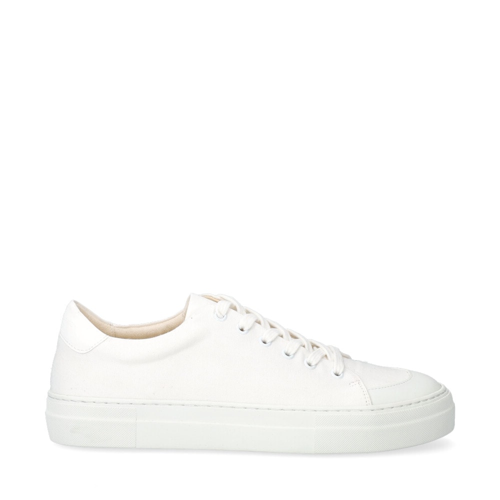 Mad Sneakers Canvas