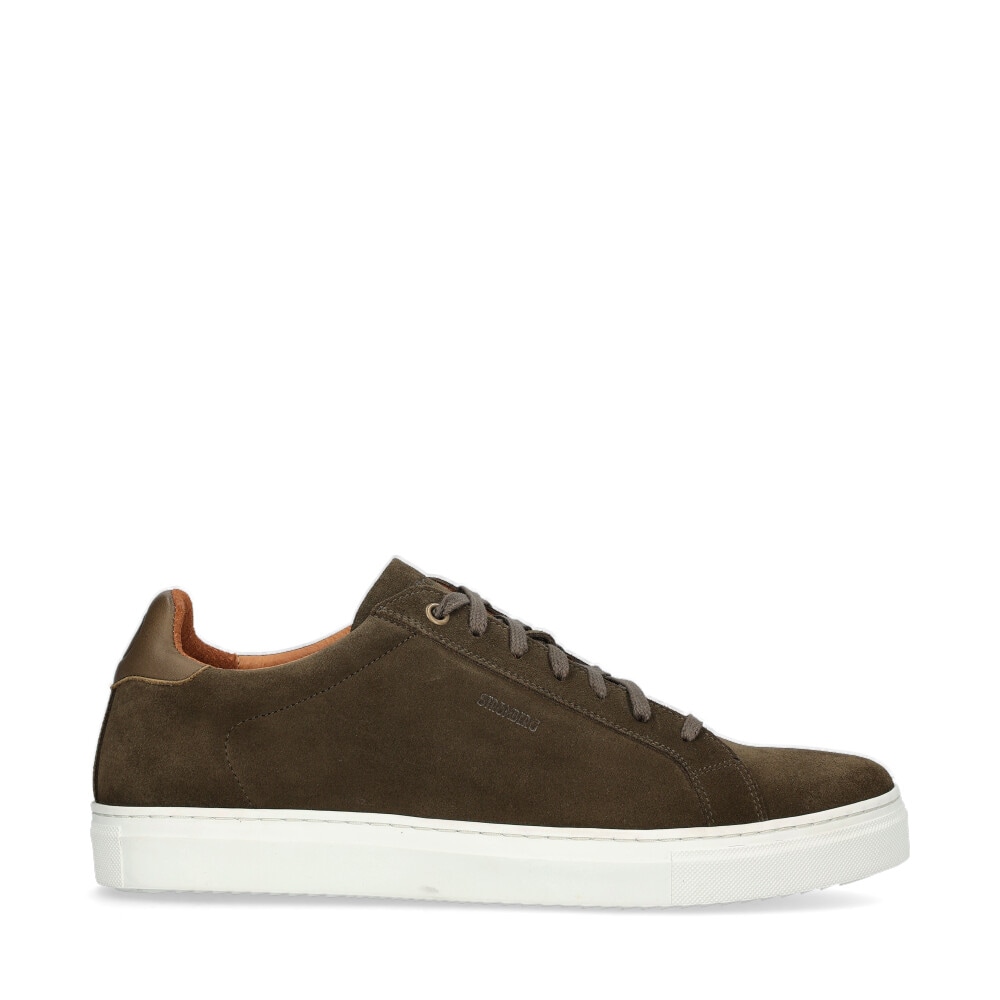 Arezzo Sneakers