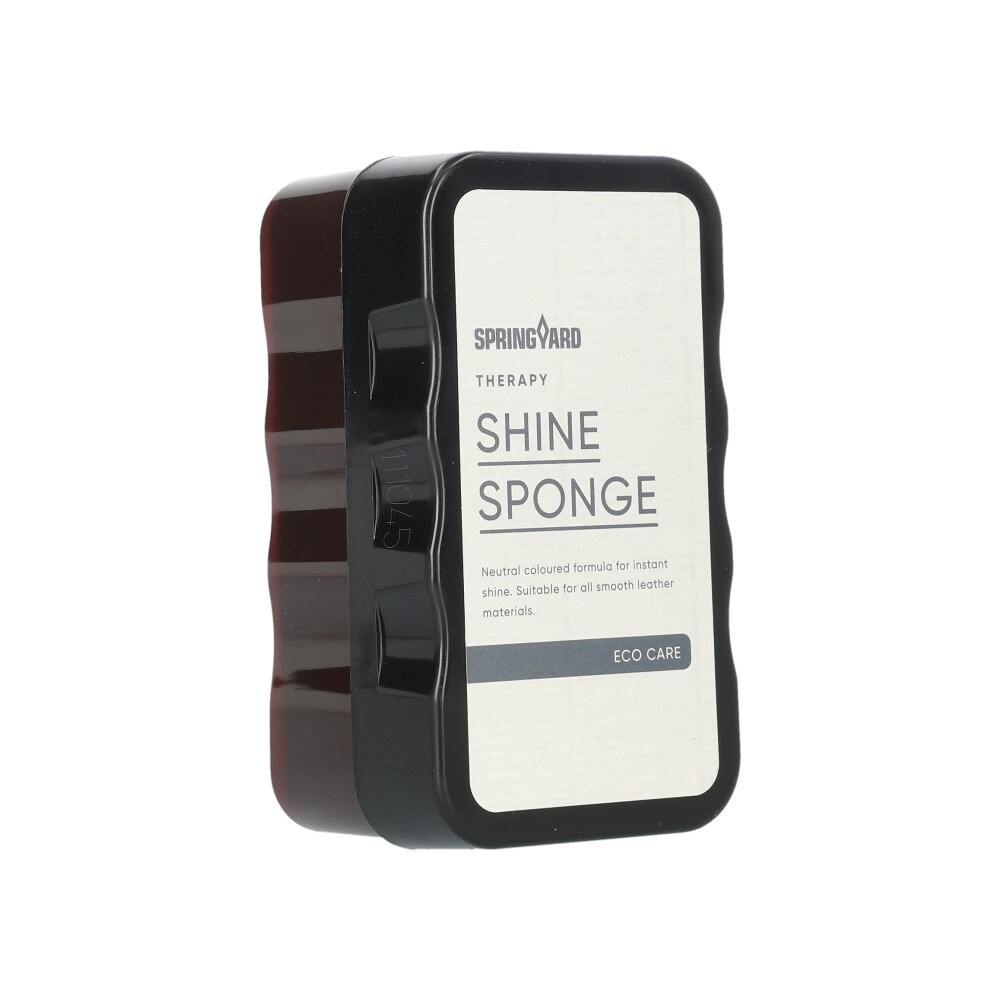 Shine Sponge